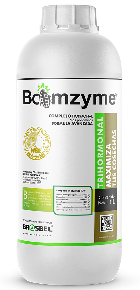 Bommzyme